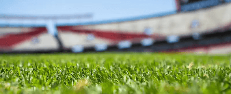 Champions League Women's Final Watched by Record Number of Fans